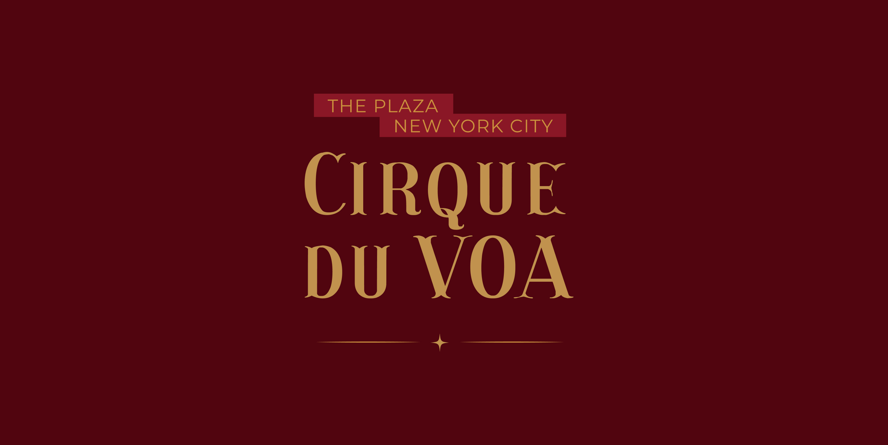 VOA Gala 24 Mockup 1